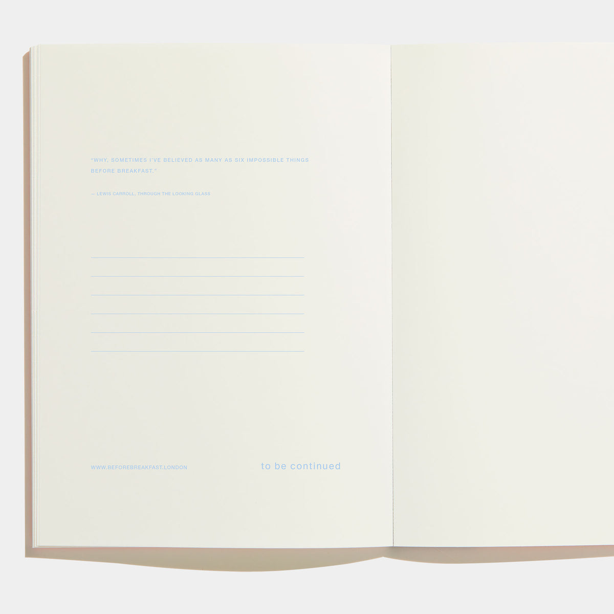 One Year Planner — Coral_White